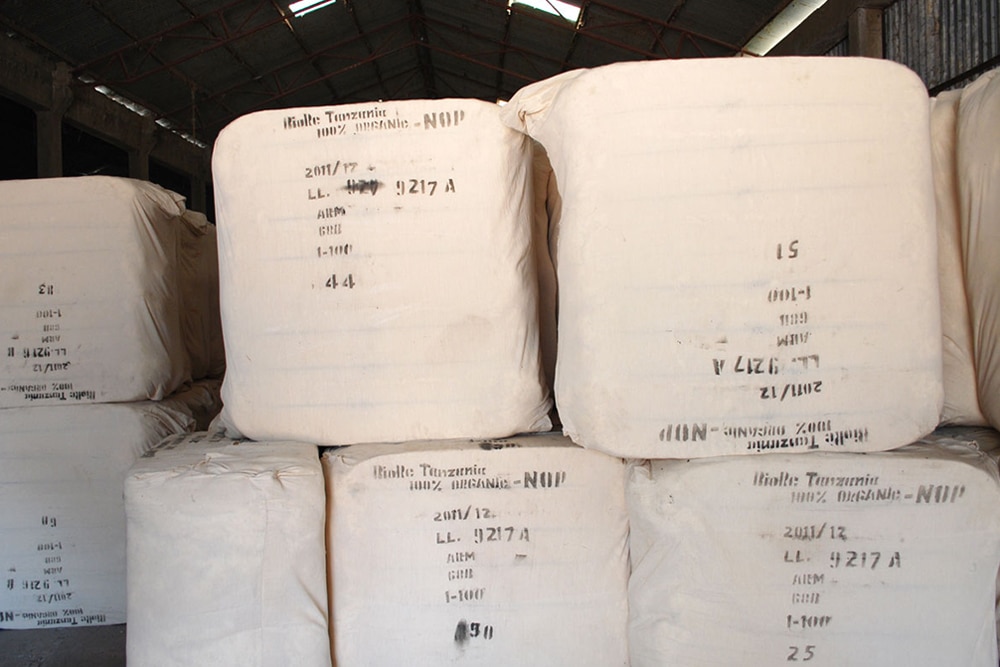 Ecologically & ethically cultivated organic cotton en route from Tanzania